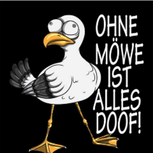 SVW_Moewe91